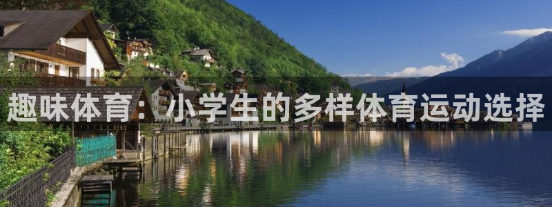k1体育网站登录官网：趣味体育：小学生的多样体育运动选择