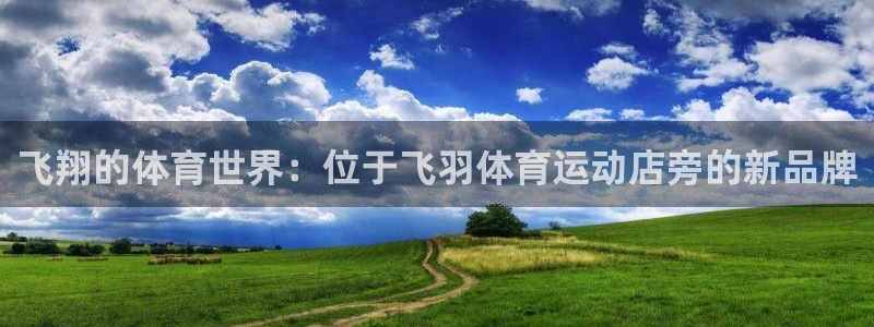 k1体育下载地址：飞翔的体育世界：位于飞羽体育运动店旁的新品牌