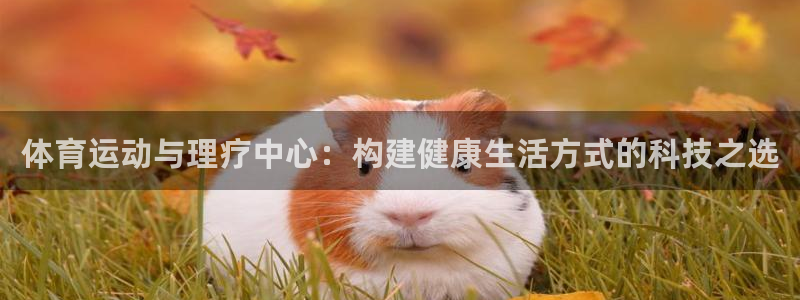 k1体育娱乐：体育运动与理疗中心：构建健康生活方式的科技之选
