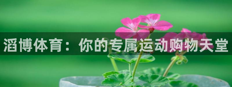 k1体育棋牌网址：滔博体育：你的专属运动购物天堂