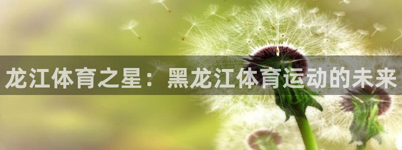 k1体育十年品牌：龙江体育之星：黑龙江体育运动的未来