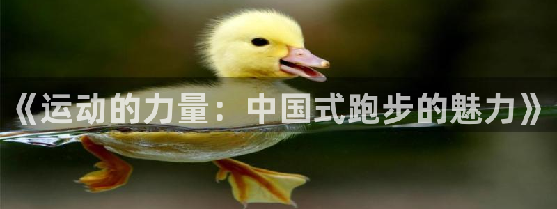 k1体育链接多少：《运动的力量：中国式跑步的魅力》