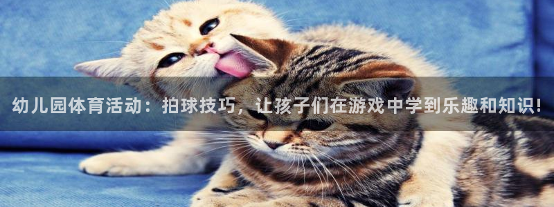 k1体育娱乐：幼儿园体育活动：拍球技巧，让孩子们在游戏中学到乐趣和知识!